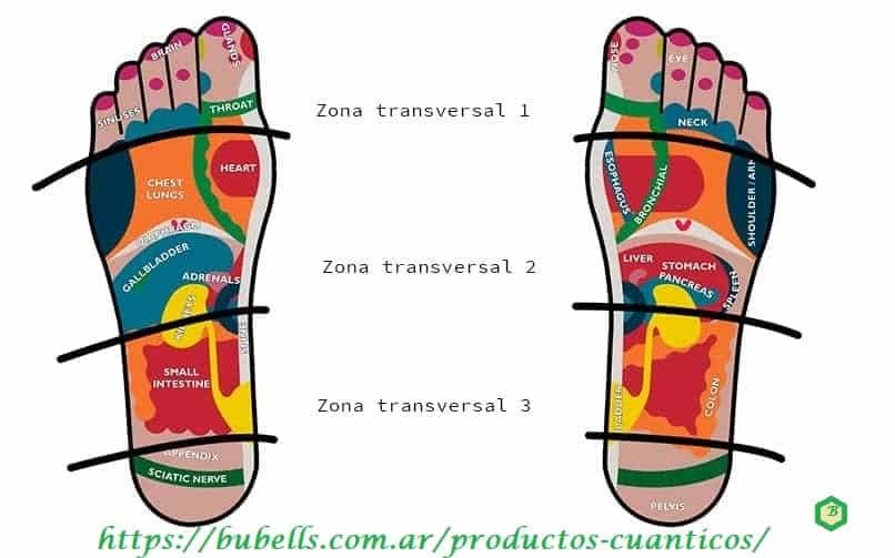 Productos Cuánticos 9 Zonas transversales pies | Bubell's