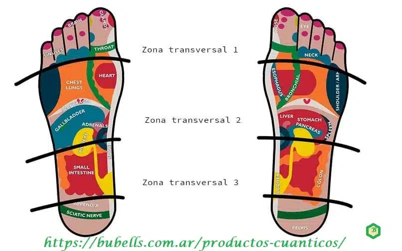 Productos Cuánticos 9 Zonas transversales pies | Bubell's